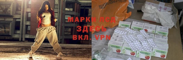 apvp Алзамай