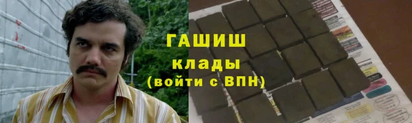 apvp Алзамай