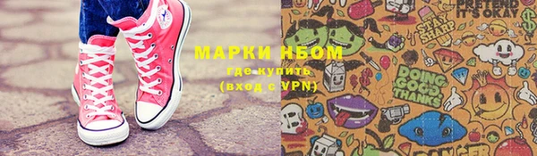 apvp Алзамай