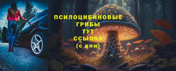 apvp Алзамай