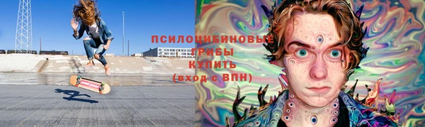 твердый Алексеевка