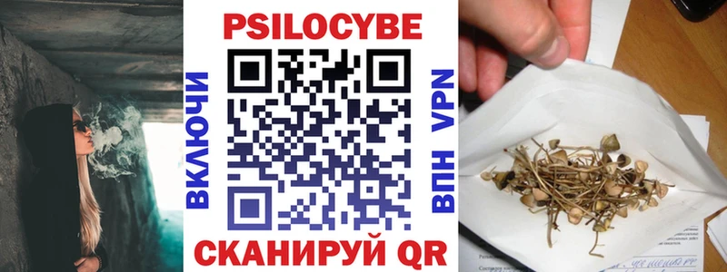 МЕГА   Мураши  Галлюциногенные грибы Psilocybe 